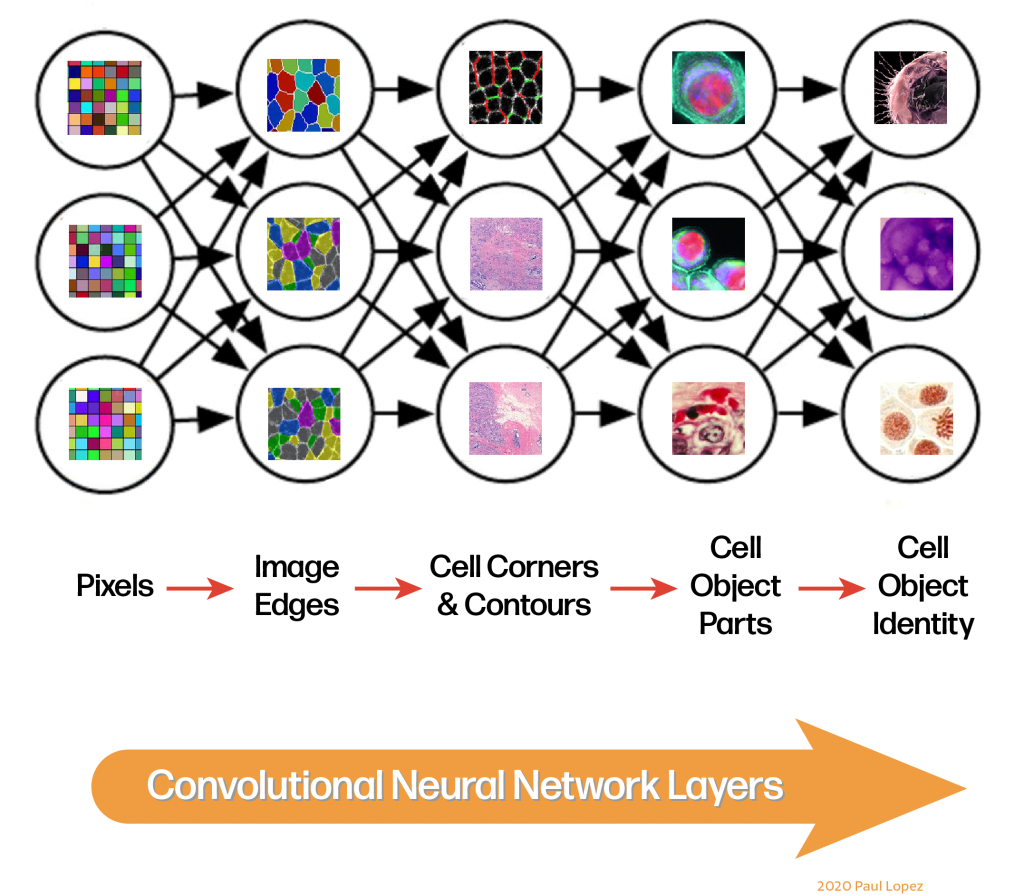 Medical Imaging With Ai Deep Learning